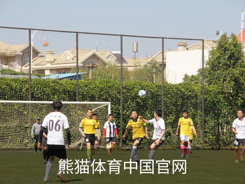 熊猫体育中国官网介绍